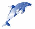Delphin links