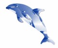 Delphin Rechts